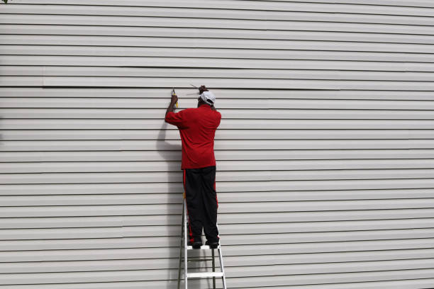 Professional Siding in Capron, IL
